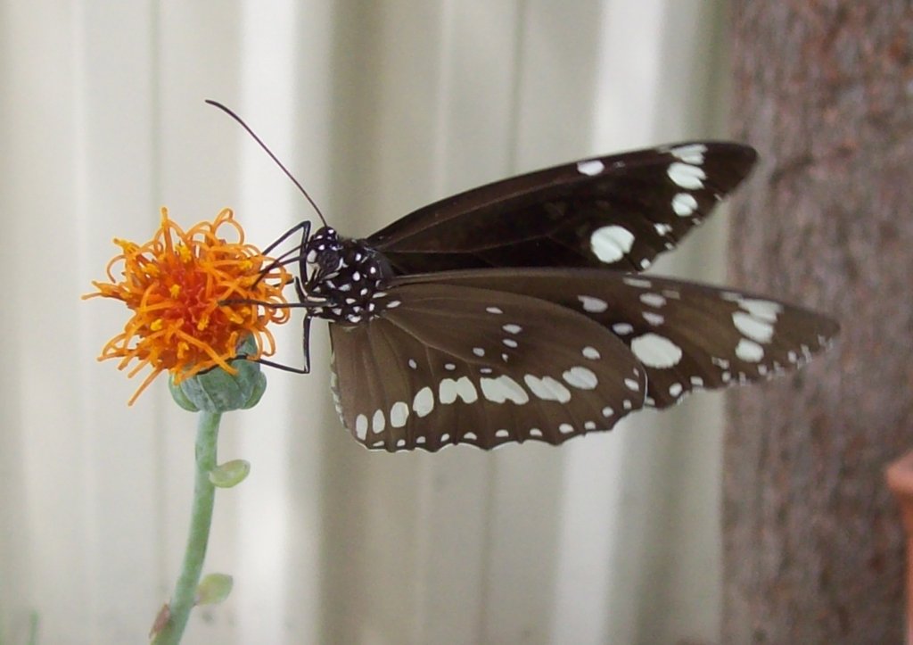 What God Desires to Renew Within&nbsp;Us