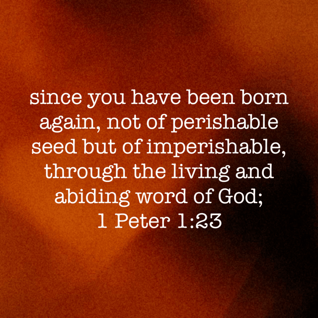 100 Days of Identity-Day One: I am Born&nbsp;Again!